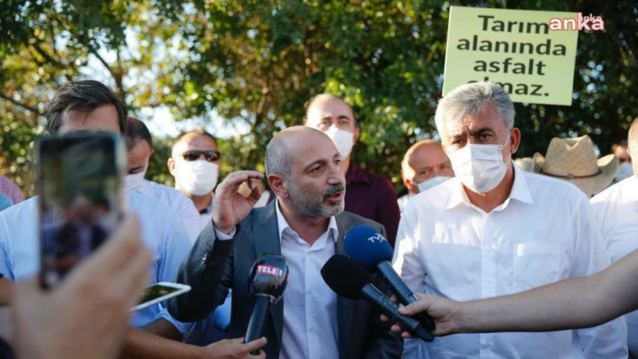 'AKP zeytine sürgün yasası getirdi, amaç Akbelen ormanlarını kesmek'