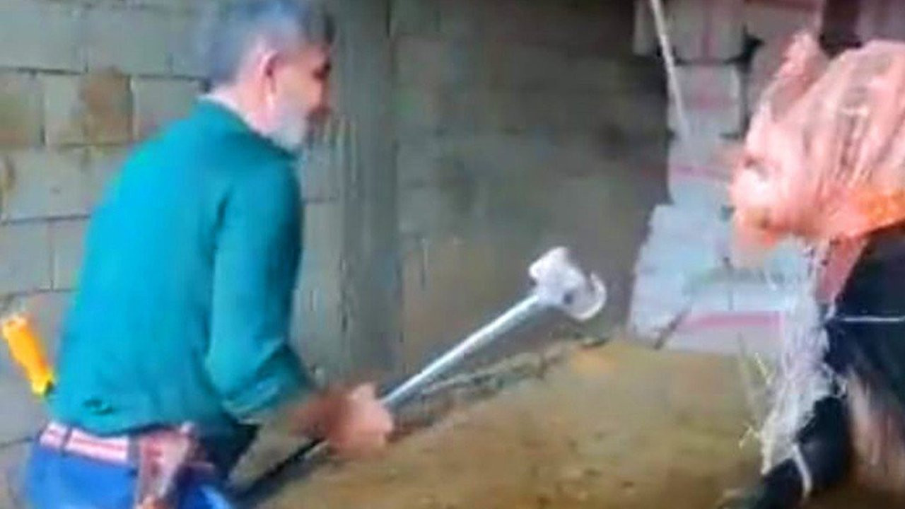 Keseceği boğayı balyozla katleden sanığa 36 gün sonra tahliye