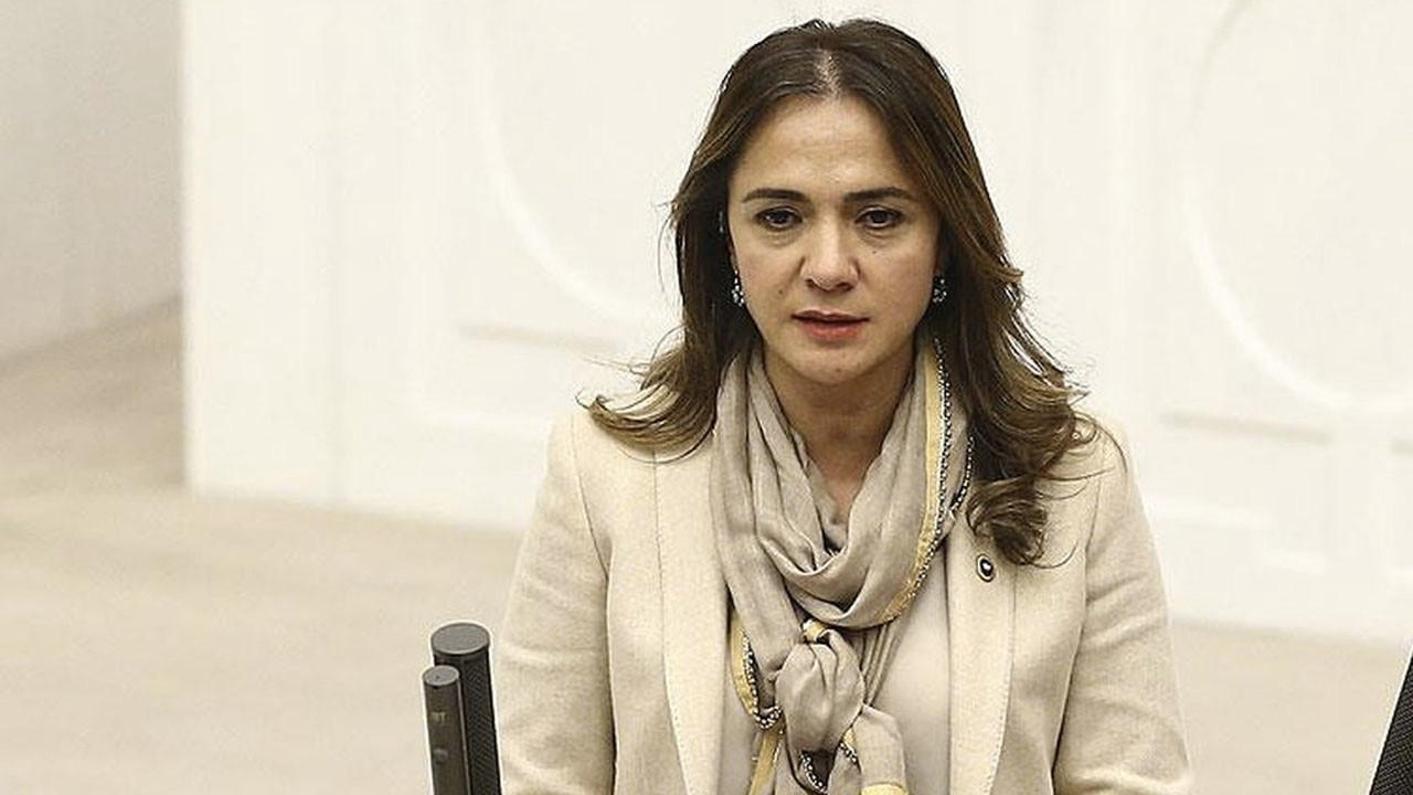 CHP’li İlgezdi: AKP iktidarı boyunca haftada 1777, günde 253 çocuk doğum yaptı