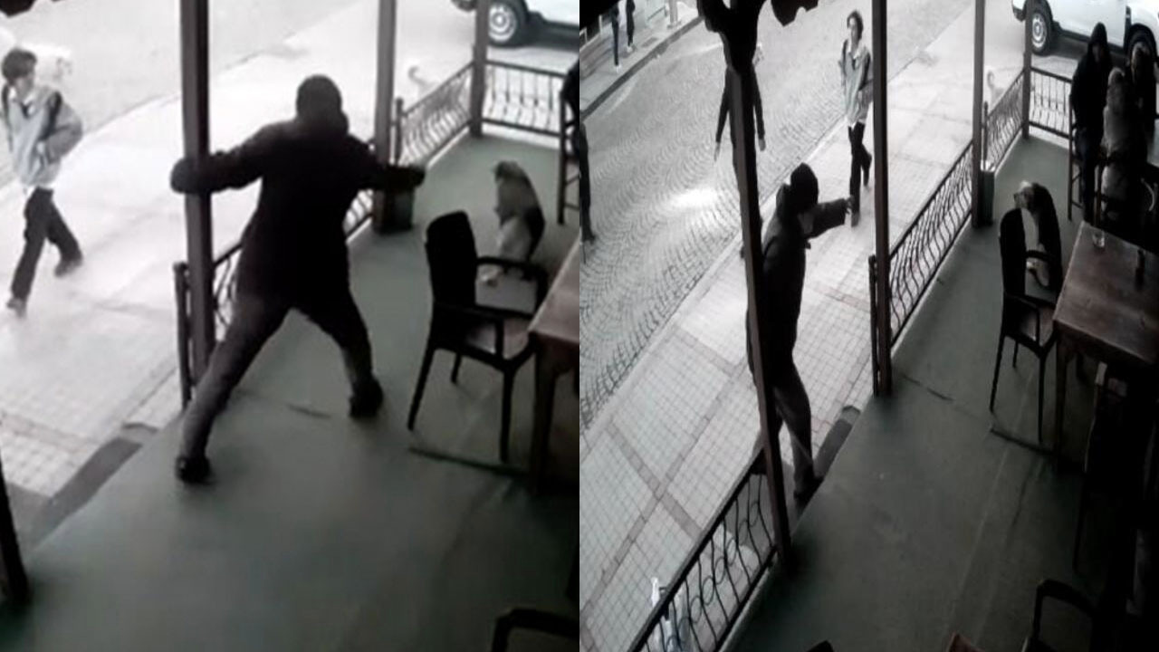 Rize'de köpeğe değnekli şiddet