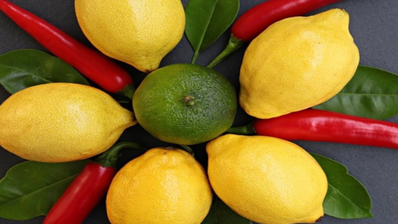 Acı biber + bal + limon; Üçünü karıştırıp 1 tatlı kaşığı yemek bile etkiliymiş. Kimse anlatmamıştı