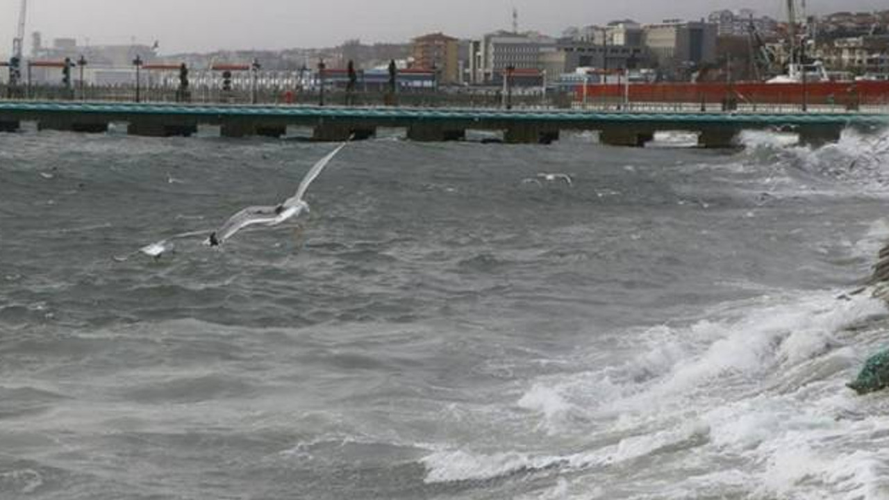 Deprem sonrasında İskenderun'da deniz seviyesi yükseldi, bazı caddeler su altında kaldı