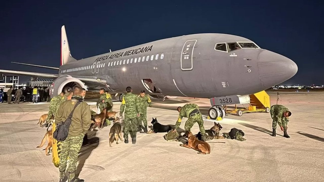 Meksika'nın meşhur arama kurtarma köpekleri Türkiye'ye geliyor