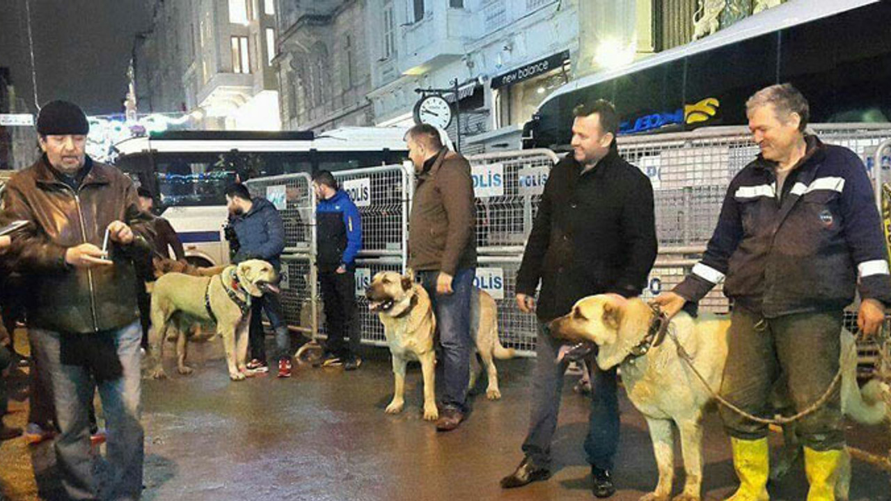 Taksiler Hollandalı yolcu taşımayacak!