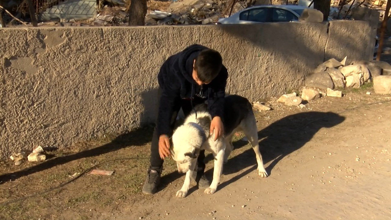 12 yaşındaki Çınar köpeği Alex'in yardımıyla enkazdan kurtuldu