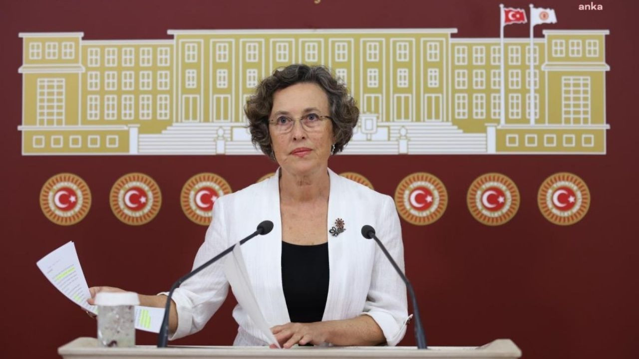 HDP'den deprem bölgesindeki çocuklara dair soru önergesi
