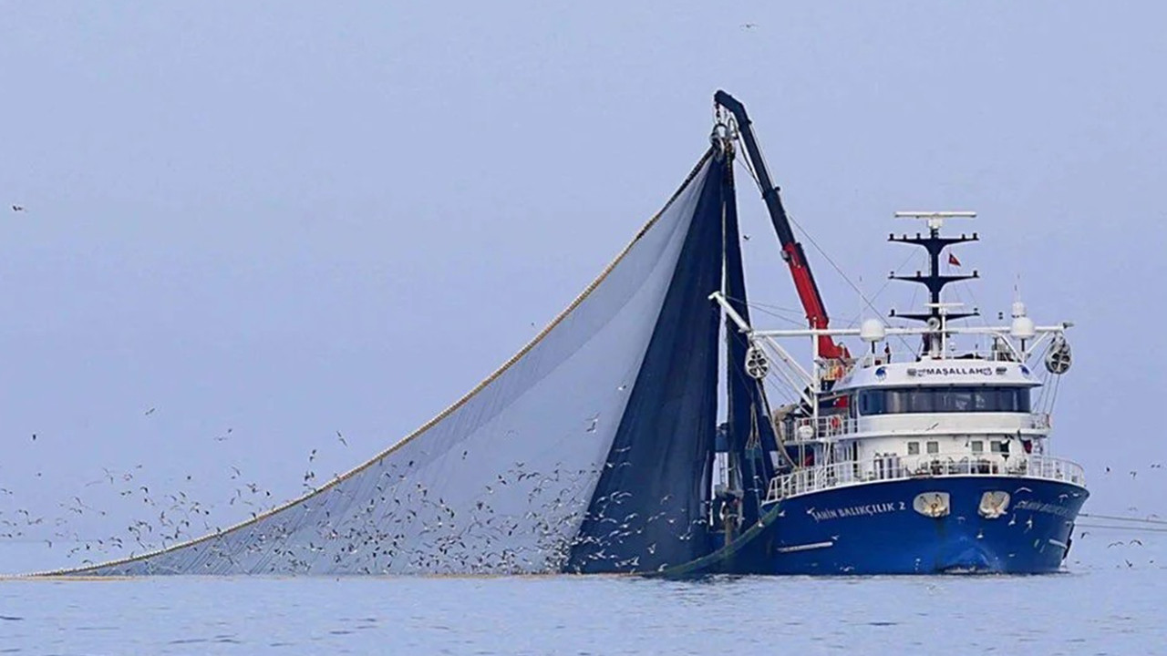 Marmara ve boğazlarda hamsi avcılığı yarın itibariyle durduruldu