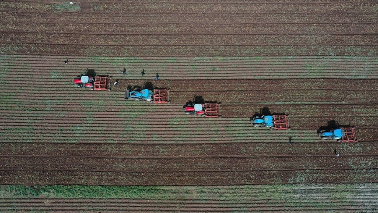 TÜİK: Tarımsal girdi enflasyonu yüzde 103'e yükseldi