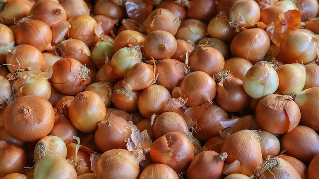 Edirne'de kuru soğanın kilosu 20 liraya çıktı
