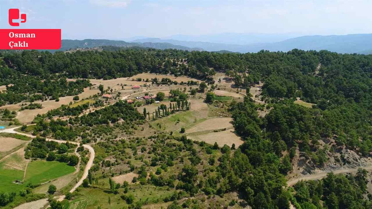 Deprem kararnamesi: Tarım ve orman alanları yok edilirse yeni afetler kapıda