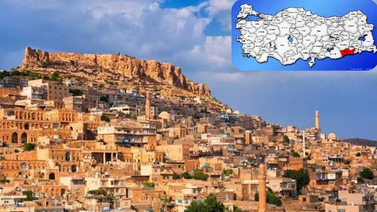 Mardin seçim sonuçları