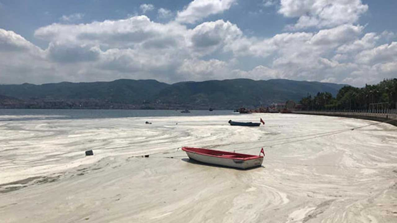 Prof. Dr. Mustafa Sarı: Bu kuraklık şartlarında yeni bir müsilaj oluşabilir