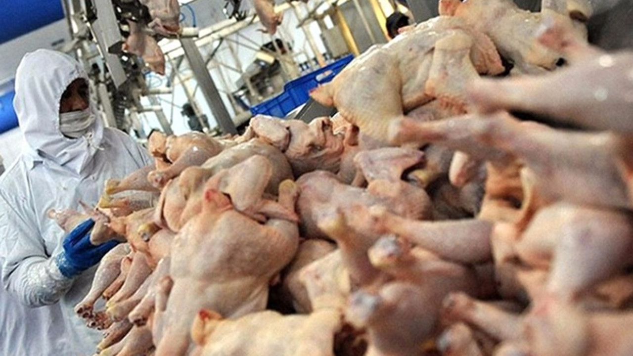 Rusya, Türkiye'den giden 23 ton tavuk etine el koydu
