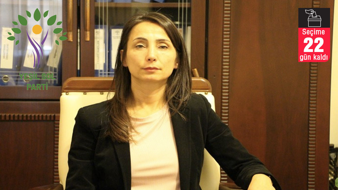 Yeşil Sol Parti adayı Hatimoğulları: Bu iktidar kesinlikle gidecek