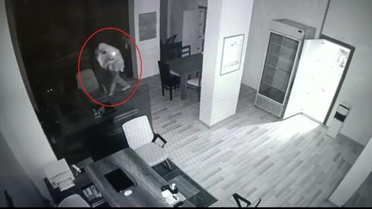 Diyarbakır'daki 'deprem hırsızları' yakalandı