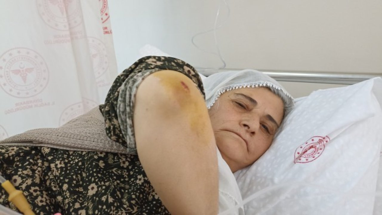 Diyarbakır'da bir kadın, DİSKİ personeli tarafından darp edildi
