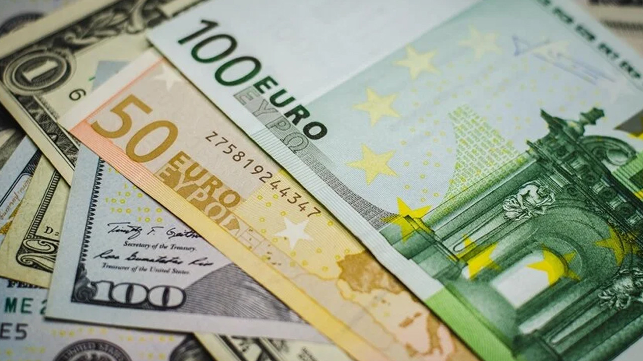 Döviz kurları rekor seviyede: Euro 30 lirayı geçti