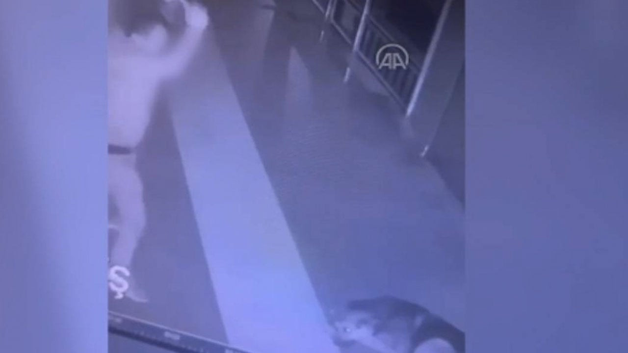 Köpeğe şiddet uygulayan saldırgan gözaltına alındı