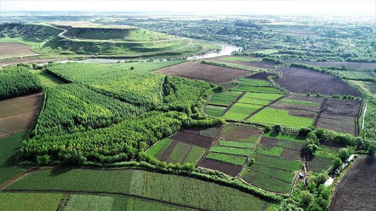 UNESCO listesindeki Hevsel Bahçeleri'nin biyoçeşitliliği kayıt altına alınıyor