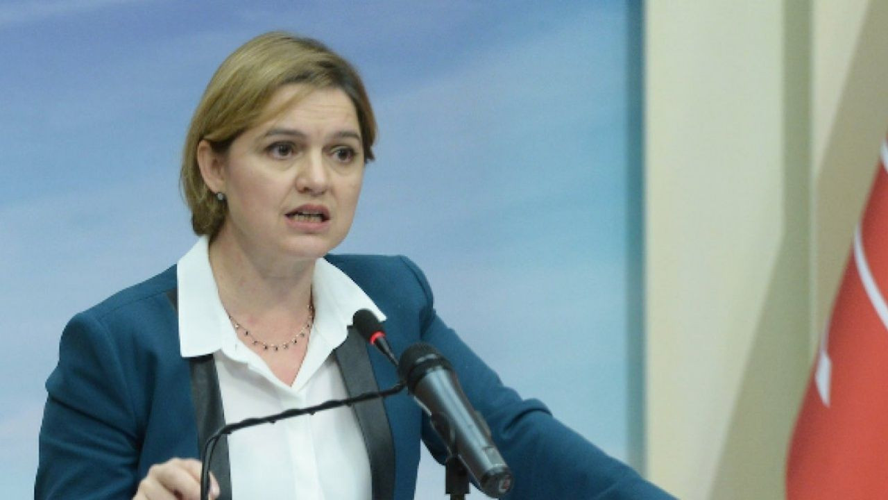 Selin Sayek Böke: Mücadeleyi Parti Meclisi üyesi olarak sürdüreceğim