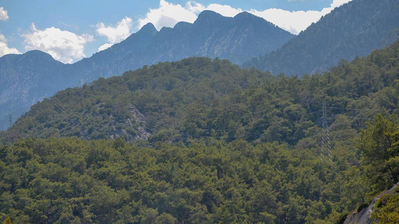 Türkiye Ormancılar Derneği'nden uyarı: Her yıl 40 bin hektar alanı resmi izinle kaybediyoruz