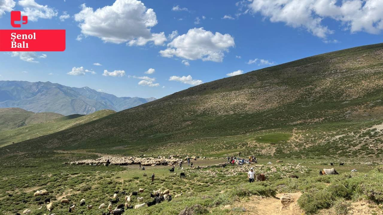 Van’da arazi anlaşmazlığı kavgası: 200 kişinin karıştığı kavgada yedi kişi yaralandı