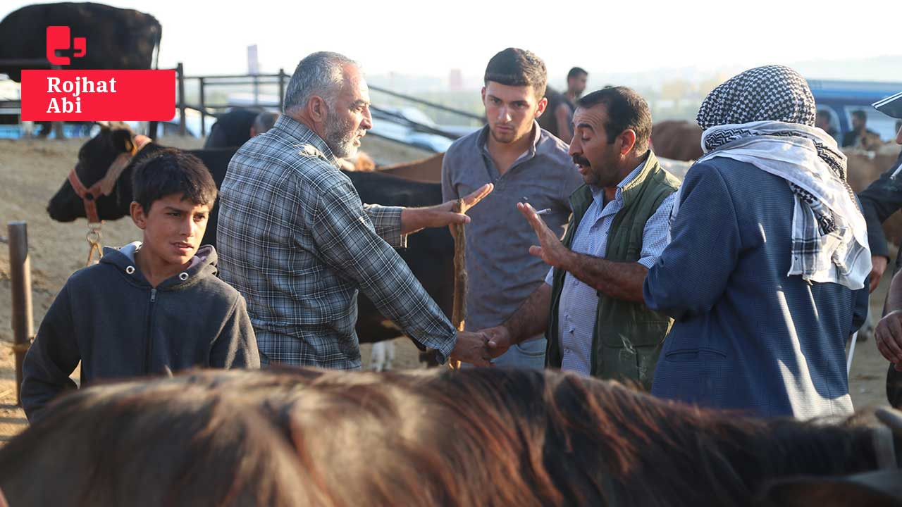 Diyarbakır’da kurbanlık pazarı durgun: Fiyat 150 bin TL’ye çıktı