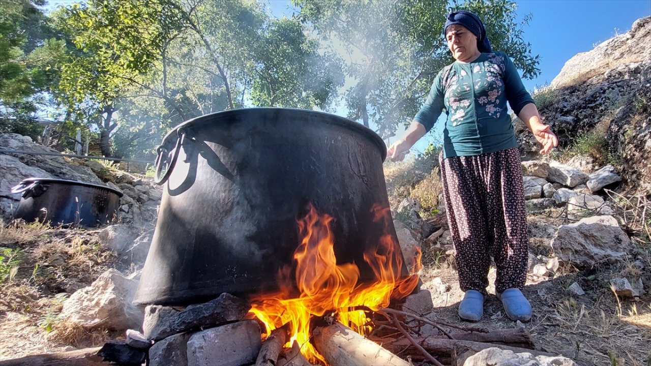 Dersim'de köylüler dut hasadı ve pekmez yapımına başladı