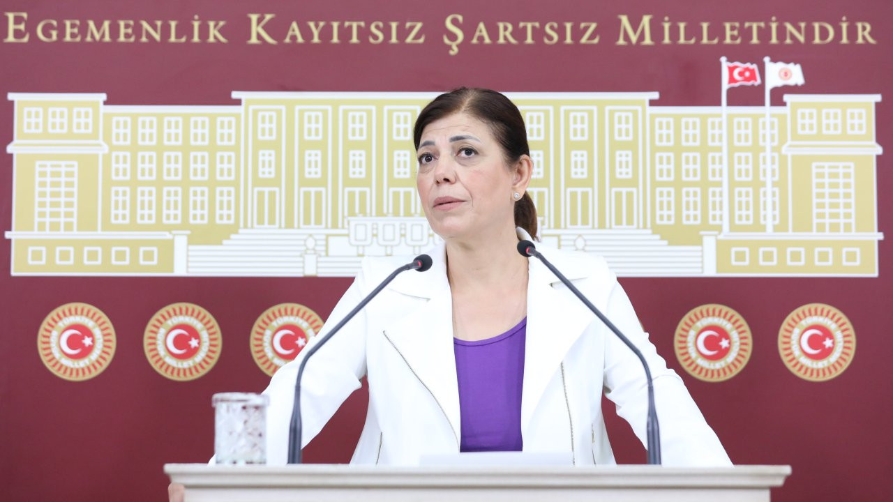 Meral Danış Beştaş'tan iktidara orman tepkisi: Doğuya kalekol, batıya rant alanları açılıyor