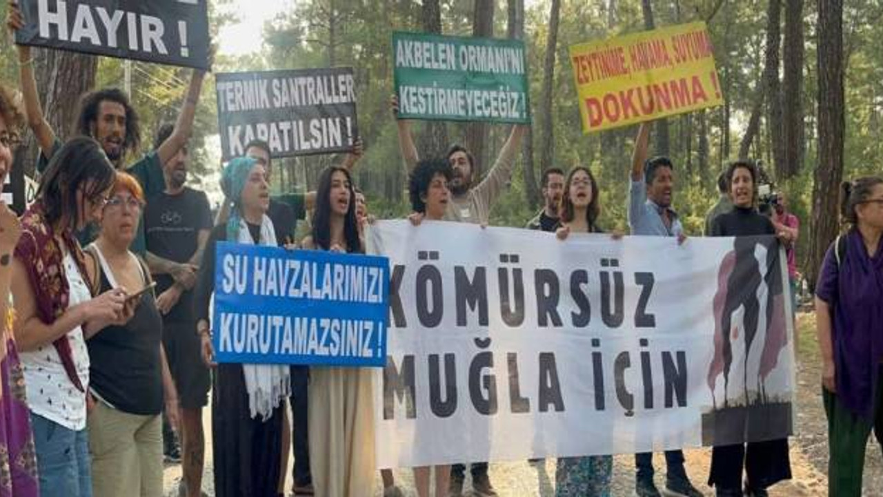 308 kurumdan Akbelen için ortak açıklama: Halkın çıkarı şirketlerin kârından üstündür