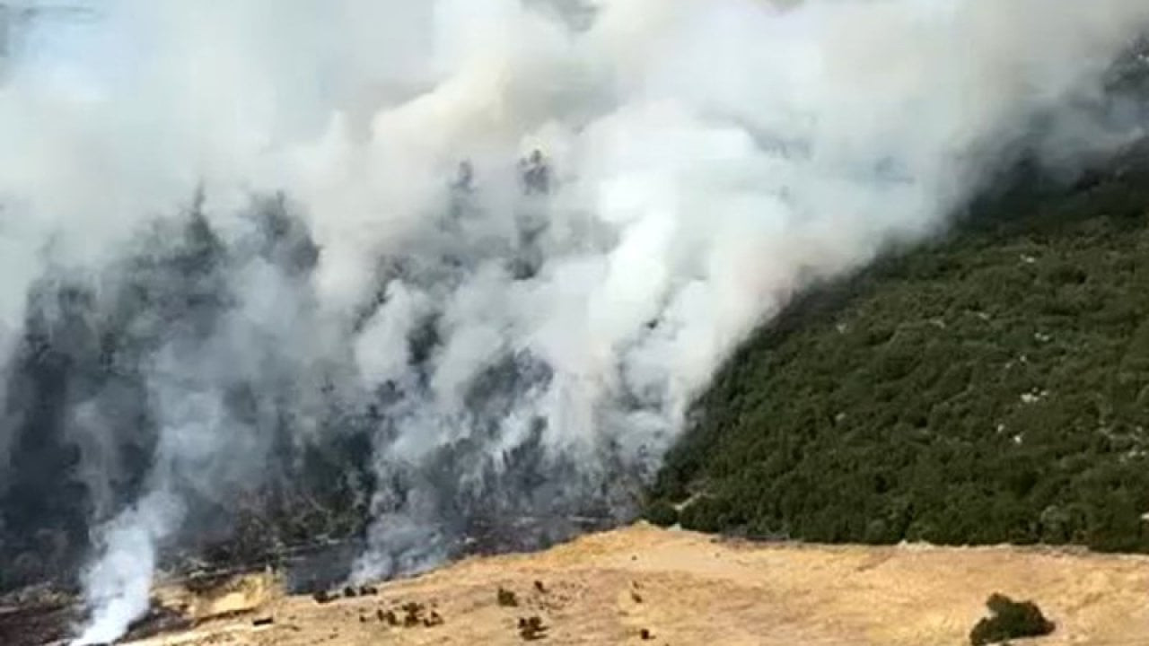 Kaş'ta makilik alanda yangın kontrol altına alındı