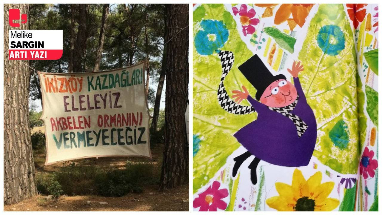 Orman kalpli köyler, dağlar: Akbelen’den Cudi’ye