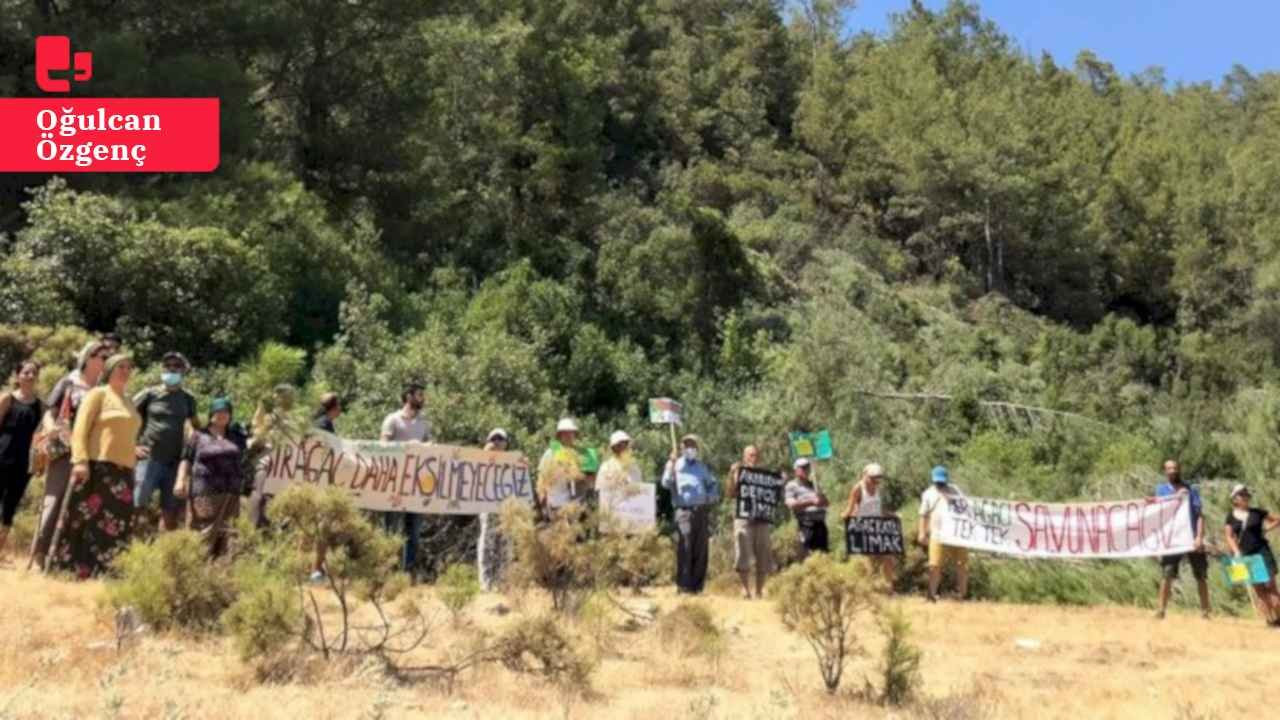 Polen Ekoloji'den Cemil Aksu anlattı: İkili hukuk ilk başta çevre alanında hayata geçti