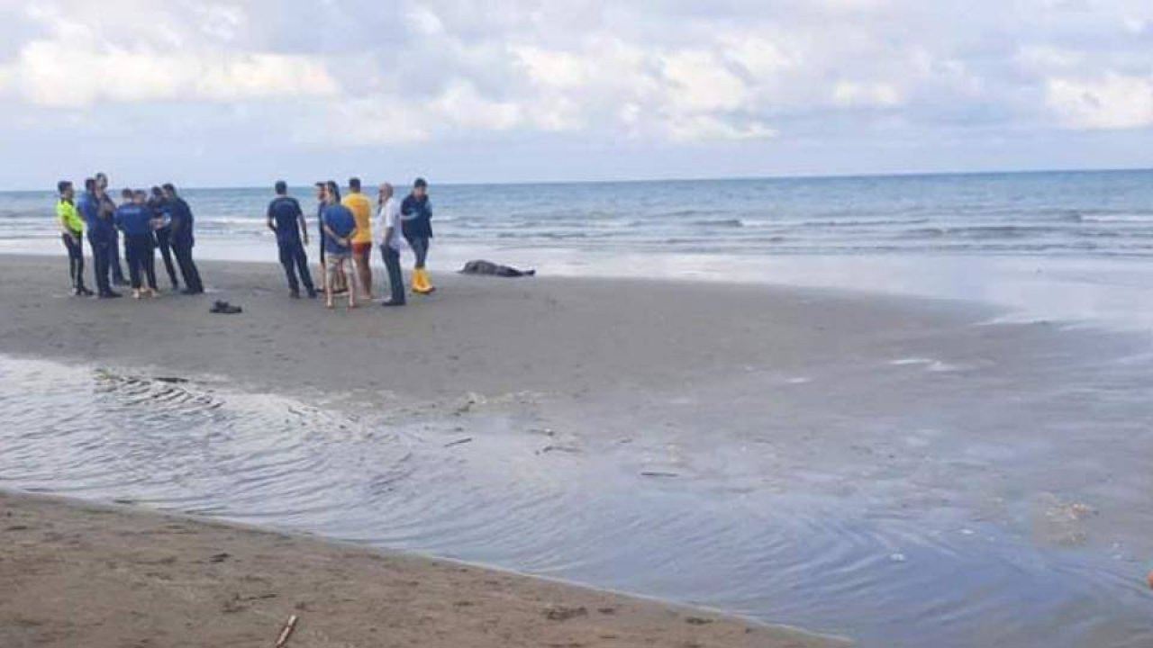 Samsun'da deniz kenarında bir erkek cesedi bulundu