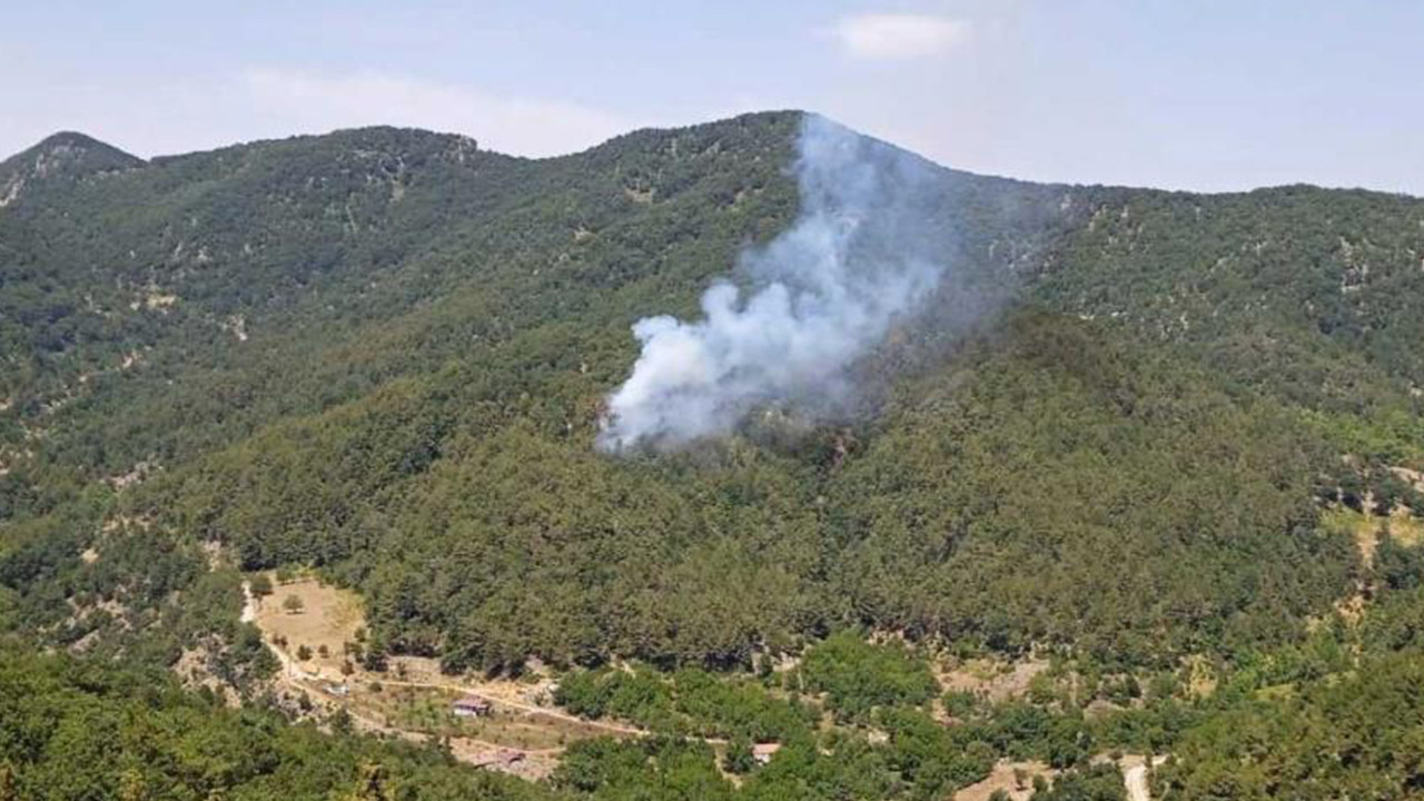 İskenderun'daki orman yangını kontrol altına alındı