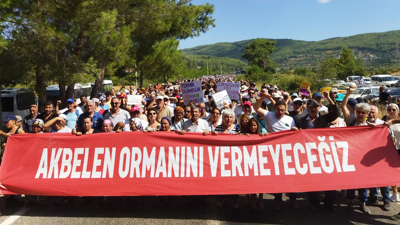 İkizköy Çevre Komitesi'nden Akbelen'deki talan için suç duyurusu