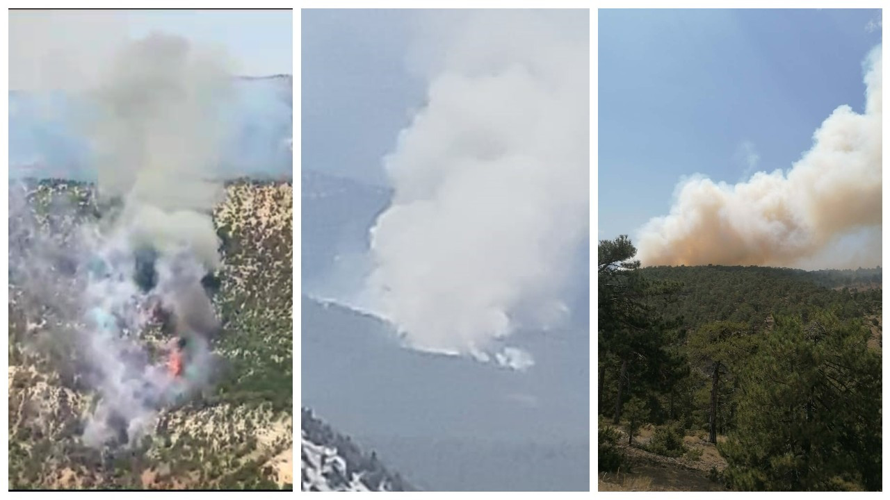 Bolu, Antalya ve Denizli'de orman yangını