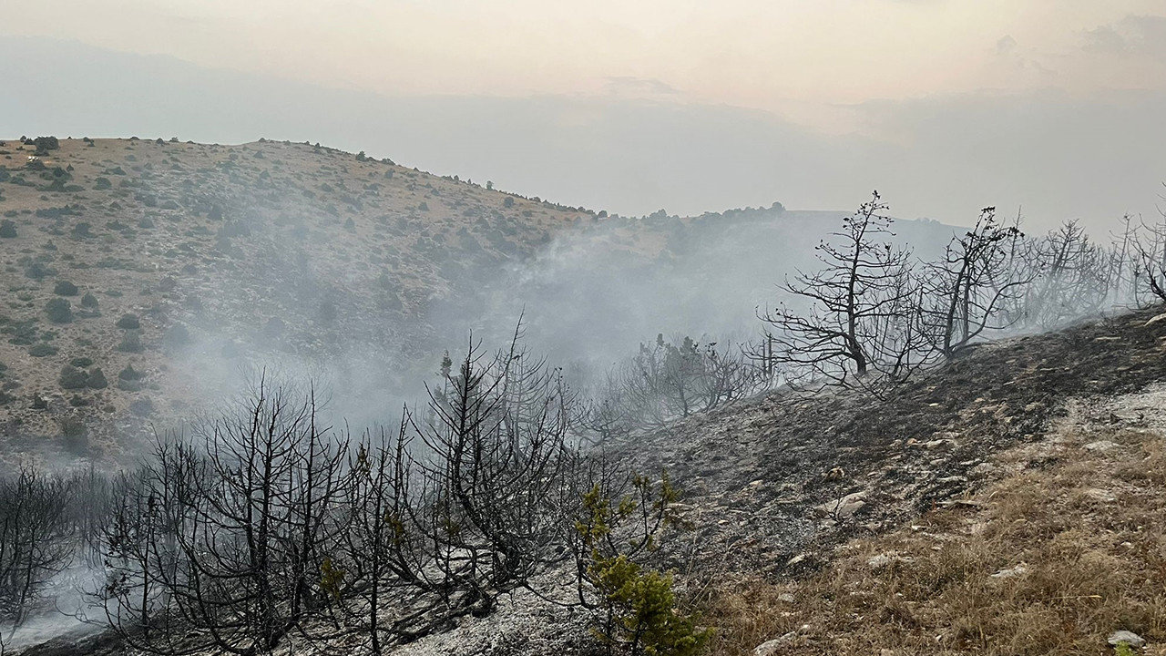 Afyon'da orman yangını çıktı