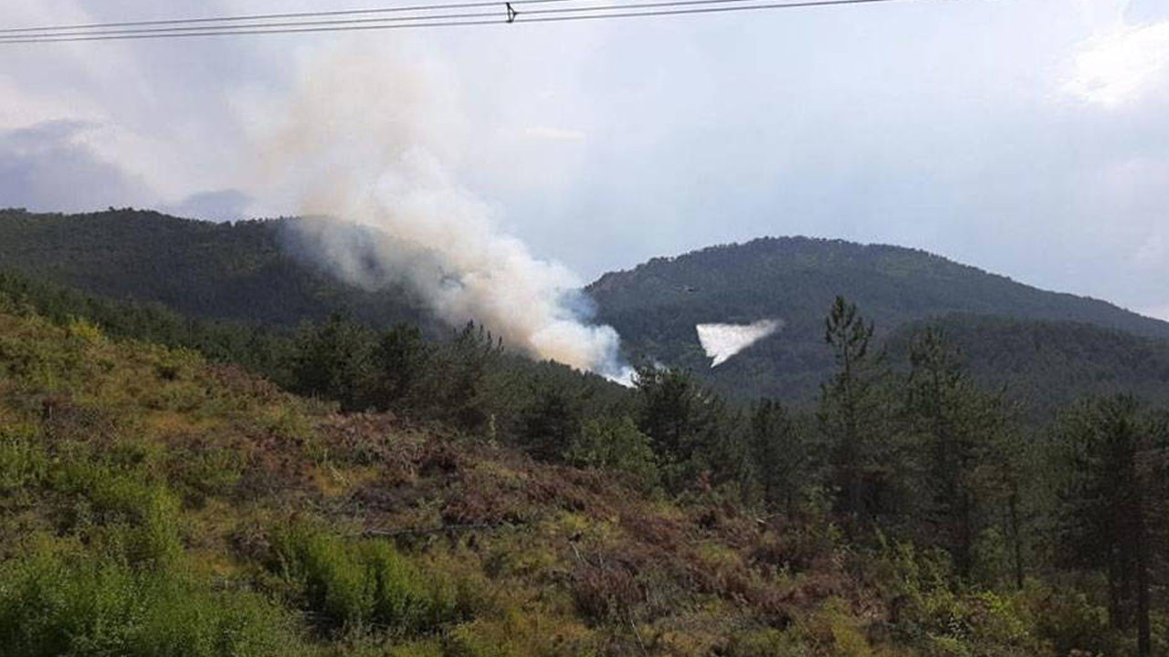 Bolu'daki orman yangını 6 saatte kontrol altına alındı