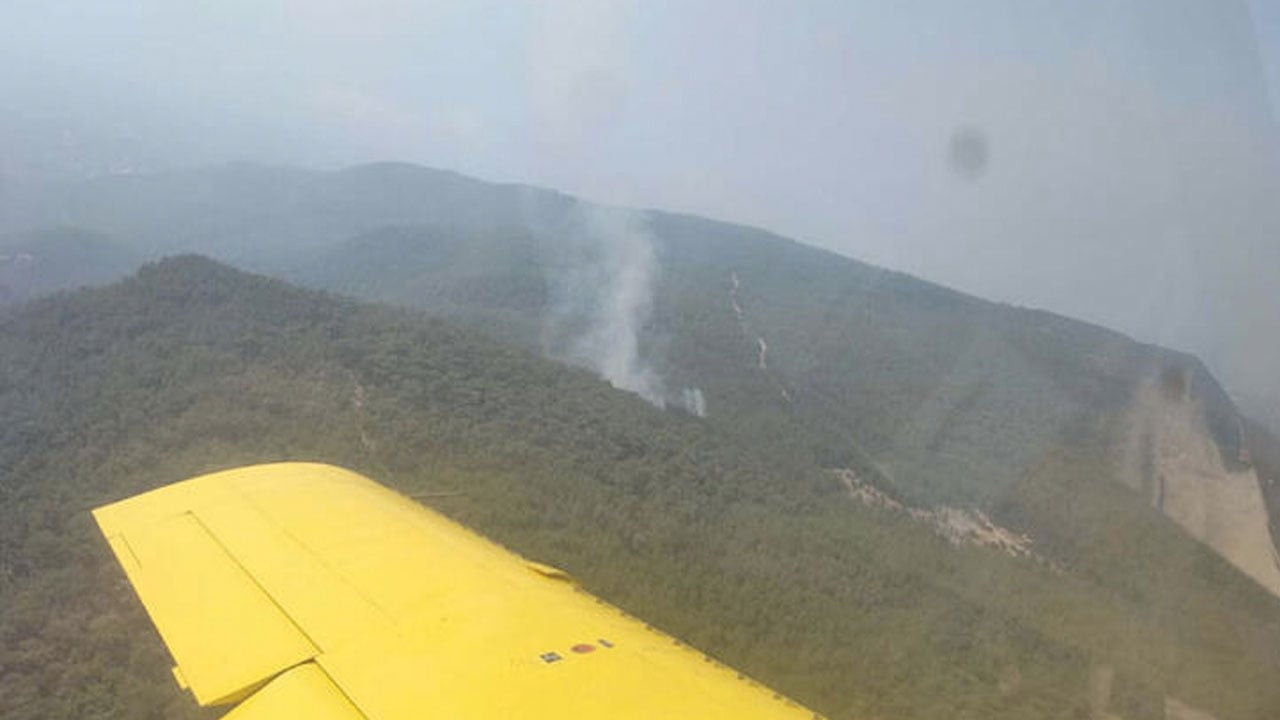 İzmir'de çıkan orman yangını kontrol altına alındı