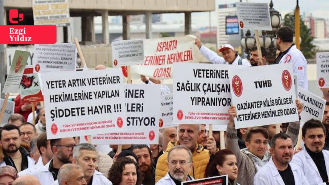 Veteriner hekimler şiddete karşı iş bıraktı: Sağlıkta Bakanlığı kapsamına alınmamamız mağdur ediyor