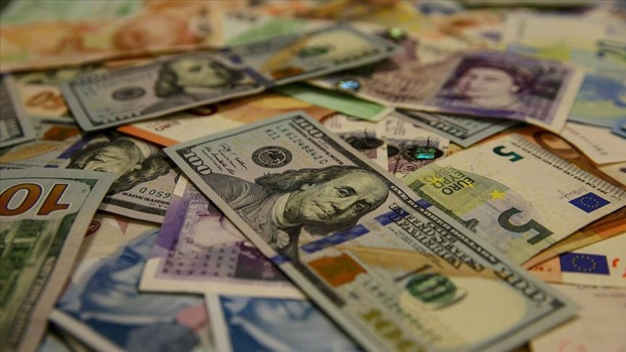 Dolar rekorunu 29 liraya taşıdı