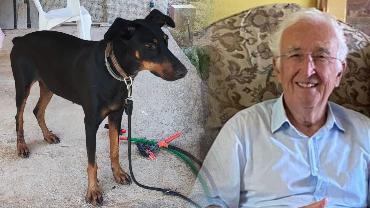 Korhan Berzeg 75 gündür kayıp: Eve dönen köpeği Tina da arama çalışmalarına katılacak