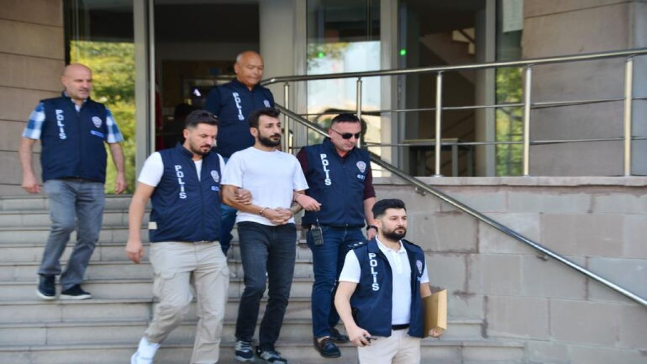 Paw Guards'ın yöneticisi Erdoğdu tutuklandı: 59 yıl hapis cezası var
