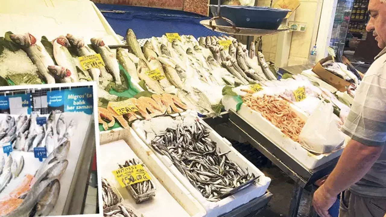 Hamsi av sezonuna 150 TL ile başladı