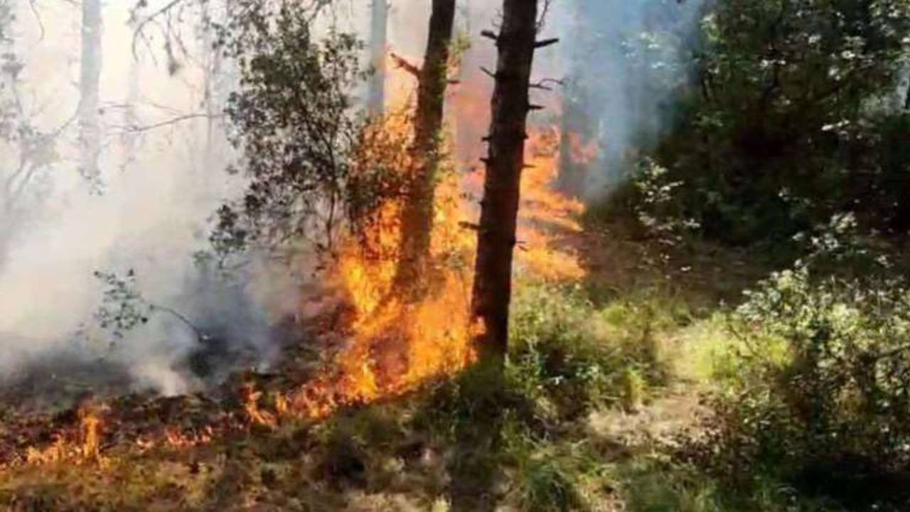 Sultangazi Kent Ormanı'nda çıkan yangın söndürüldü