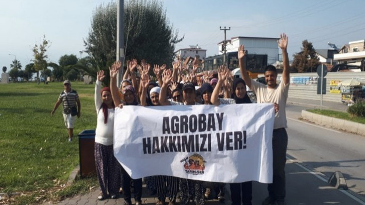 Agrobay Seracılık işçileri: Biz hakkımızı almada kararlıyız, direneceğiz