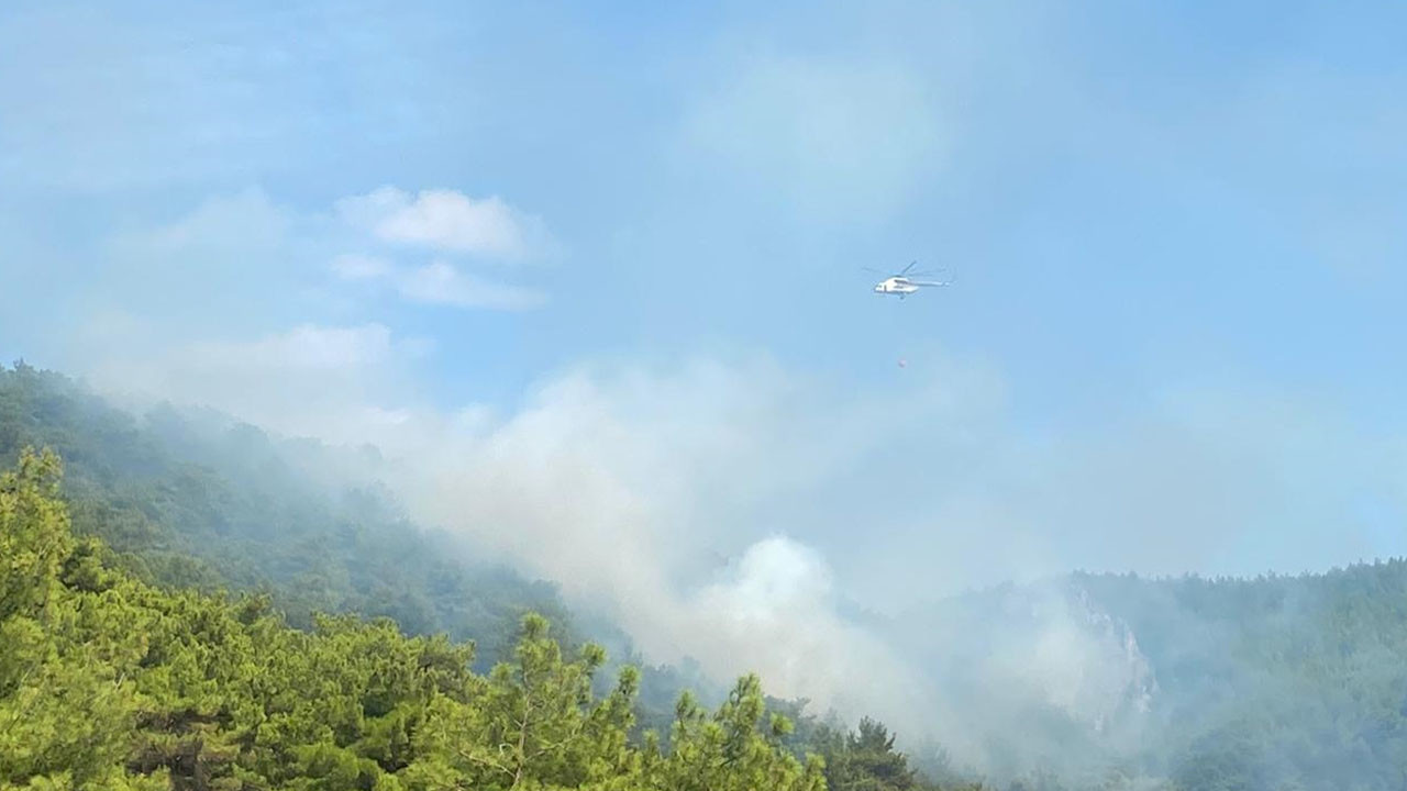 Kazdağları'ndaki orman yangını kontrol altına alındı