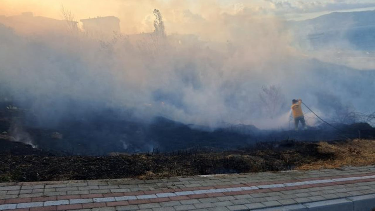 Bandırma'da otluk yangını söndürüldü