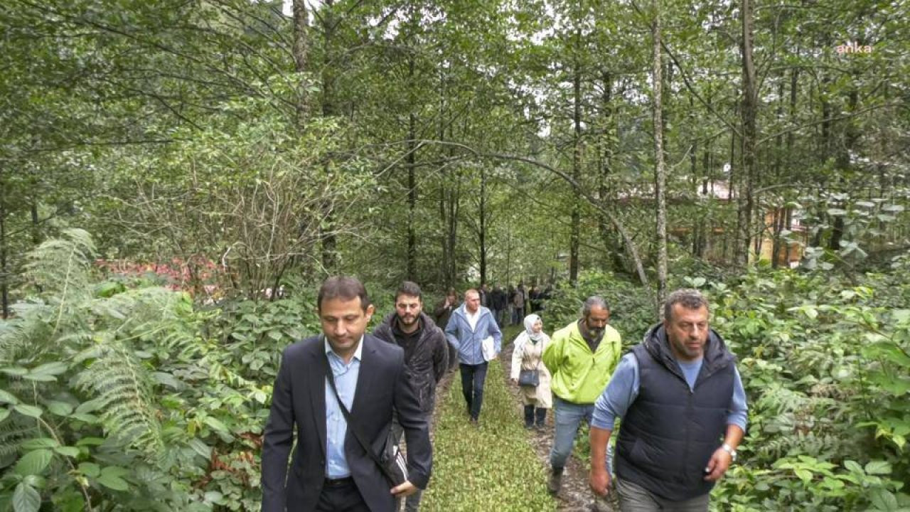 Ayder Yaylası'nın imarına karşı davada bilirkişi keşfi yapıldı: Hakim vatandaşı şov yapmakla suçladı